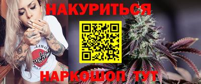 индика Будённовск