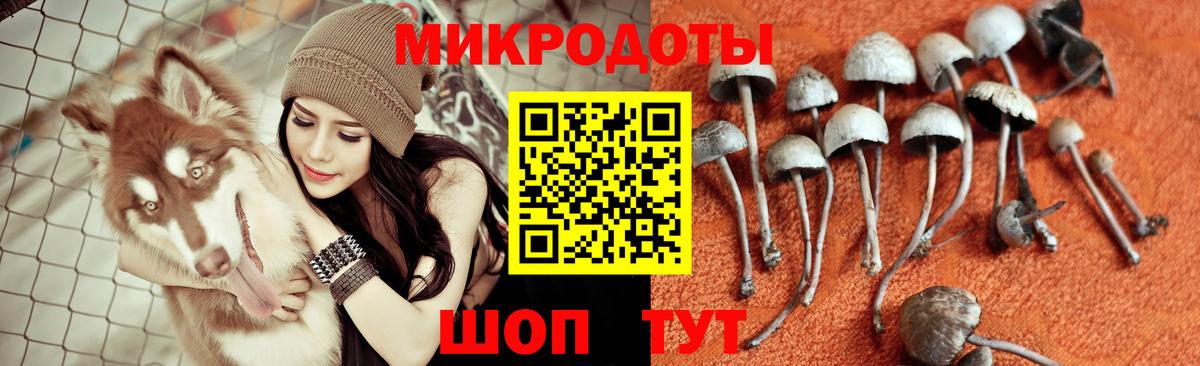 Нижнекамск  Псилоцибиновые грибы мухоморы  Вход с VPN 