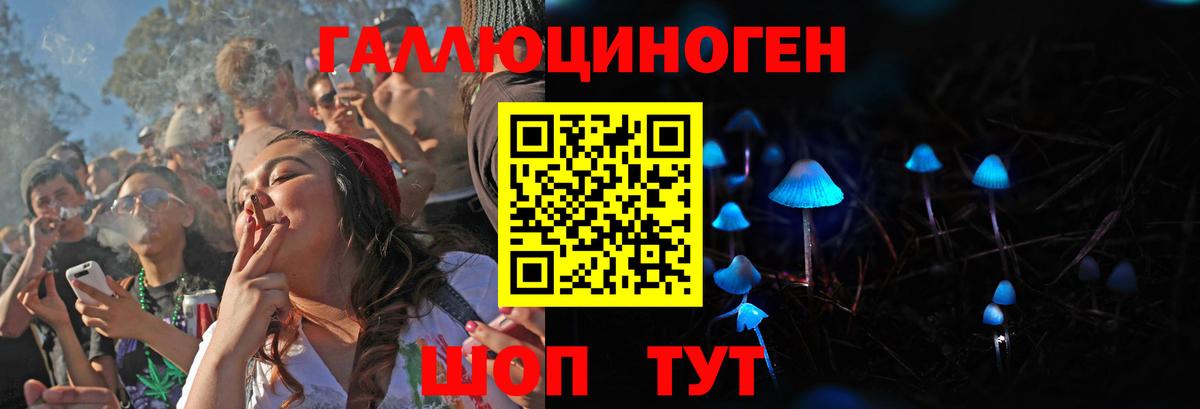 Псилоцибиновые грибы Psilocybine cubensis Нижнекамск
